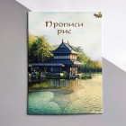 Прописи китайських рис (українське видання)